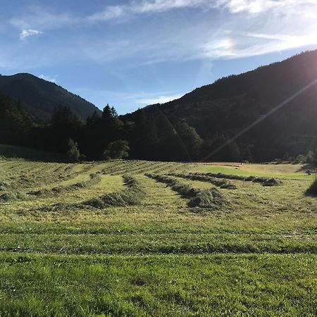 Chalet La Merlerie Morzine Luaran gambar