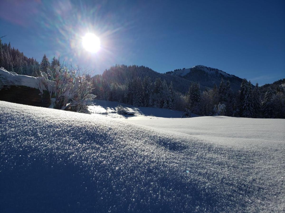 Chalet La Merlerie Morzine Luaran gambar