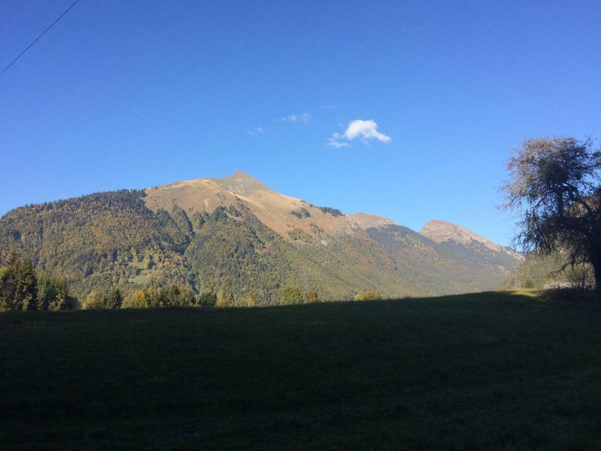 Chalet La Merlerie Morzine Luaran gambar